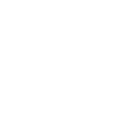 動画を再生する