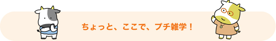 ちょっとここで、プチ雑学!
