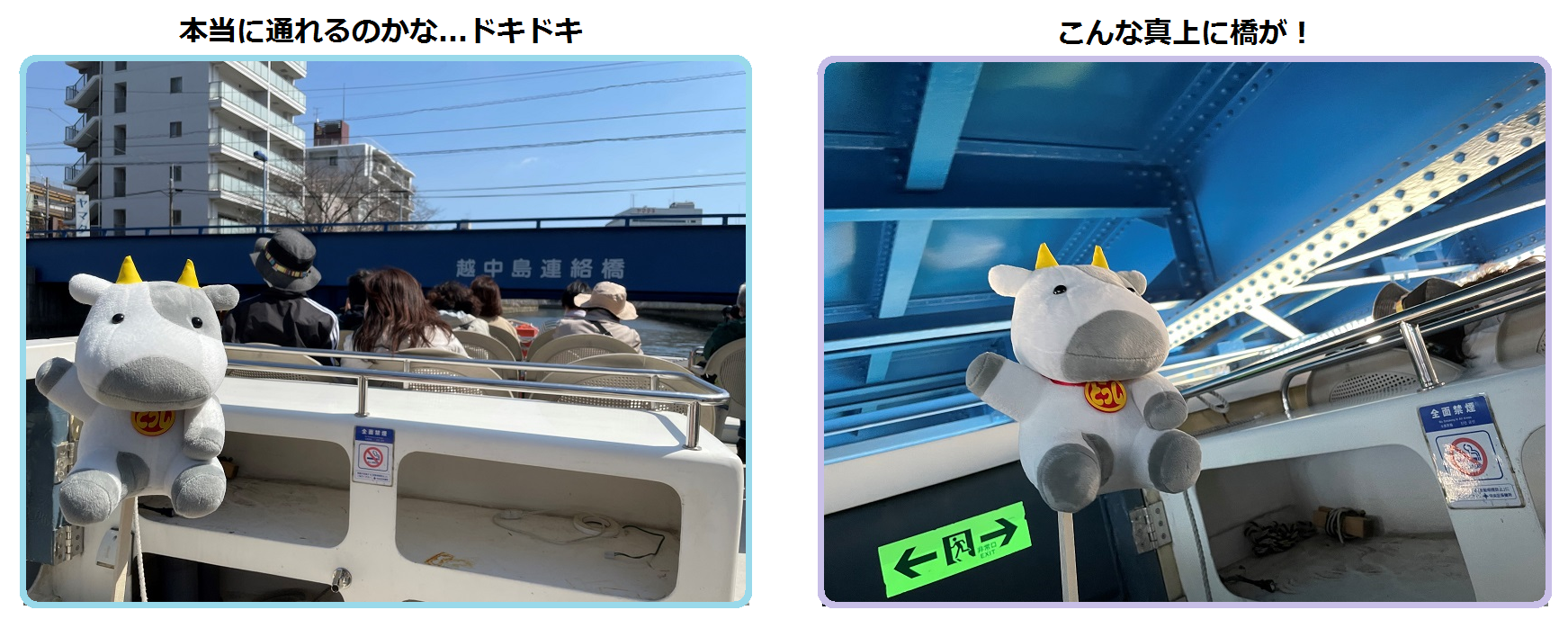 注意
