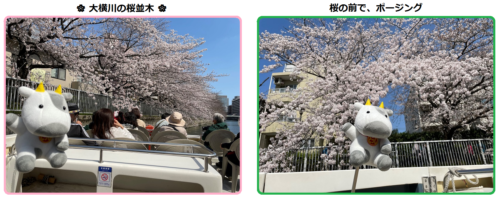 桜