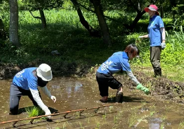 自然環境/地域社会活性化のため休眠農地の再生